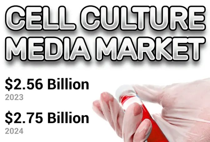 2032 Global Cell Culture Media Market: Growth Opportunities and Trends