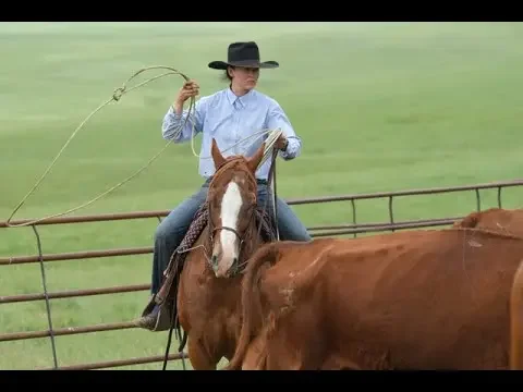 Spring roundup in Montana