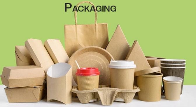 Nanotechnology Packaging Market Size, Scope Analysis, Forecast, 2030