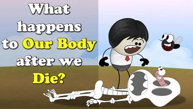 What happens to Our Body after we Die? + more videos | #aumsum #kids #science #education #children