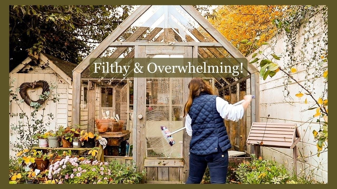 Messy November jobs in the cottage garden: Scrubbing the greenhouse & leaves