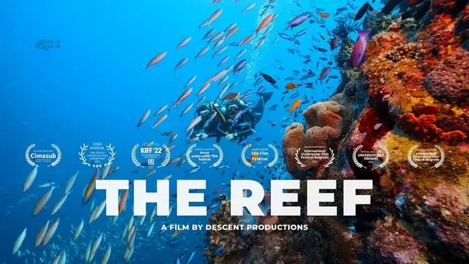 THE REEF | Underwater Short Film with Cinematographer Tom Park	