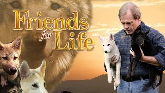 Friends for Life