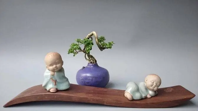 作品集（二）