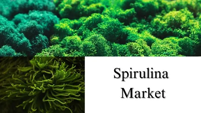 Spirulina Market Size, Share, Sector Overview: Growth and Forecast Through 2032