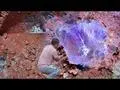 Rocks and minerals