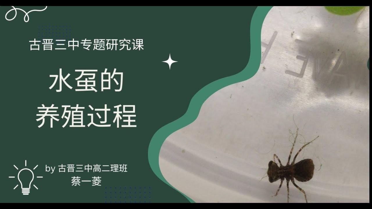 昆蟲的養殖Part 2 【自選昆蟲】  No 14 蔡一菱