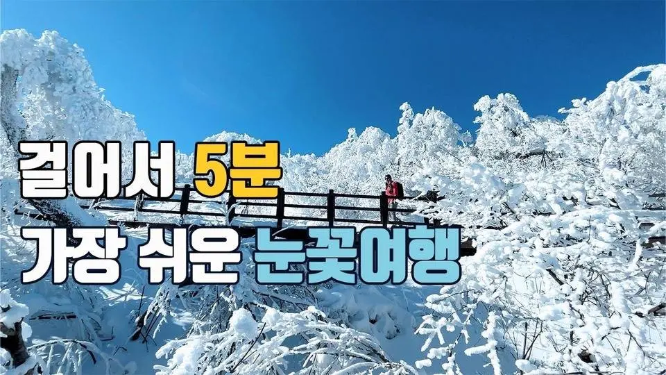 당일치기 눈꽃 최고 여행지🚗 가장 쉽게 오르는 설산 여행☃️ 난이도 최저, 만족도 최상!