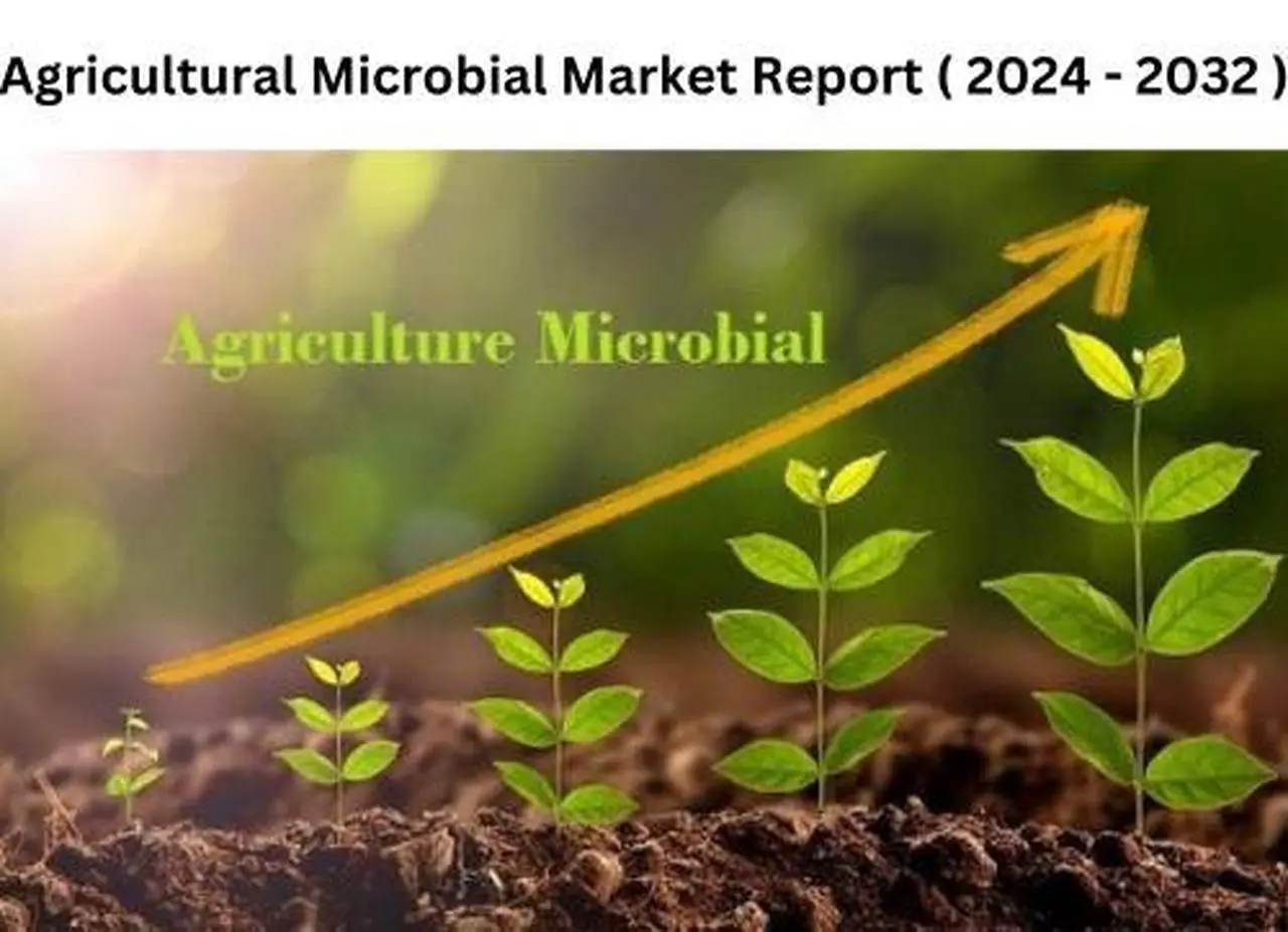 Agricultural Microbial Market Outlook: Trends and Forecasts, 2024-2032