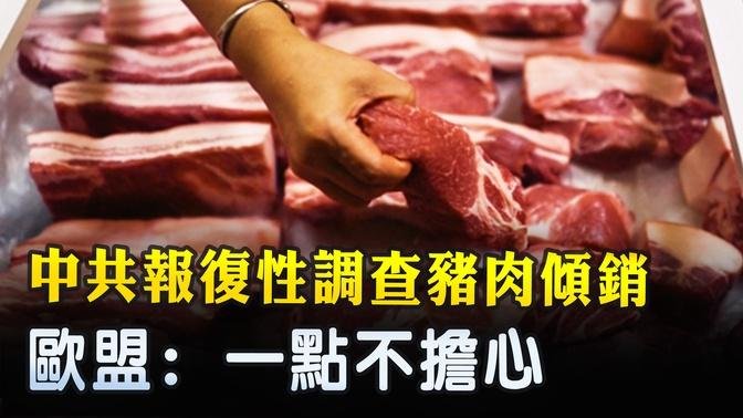 中共報復性調查豬肉傾銷 歐盟_ 一點不擔心 ｜ #新唐人電視台