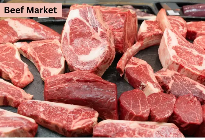 Beef Market Opportunities Size, Share, and Industry Growth, 2024-2032