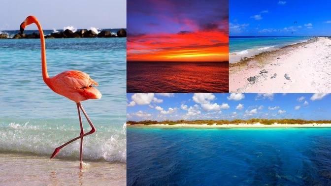 Best Beaches on Bonaire - Flamingo Island - in the Caribbean Sea, incl ...