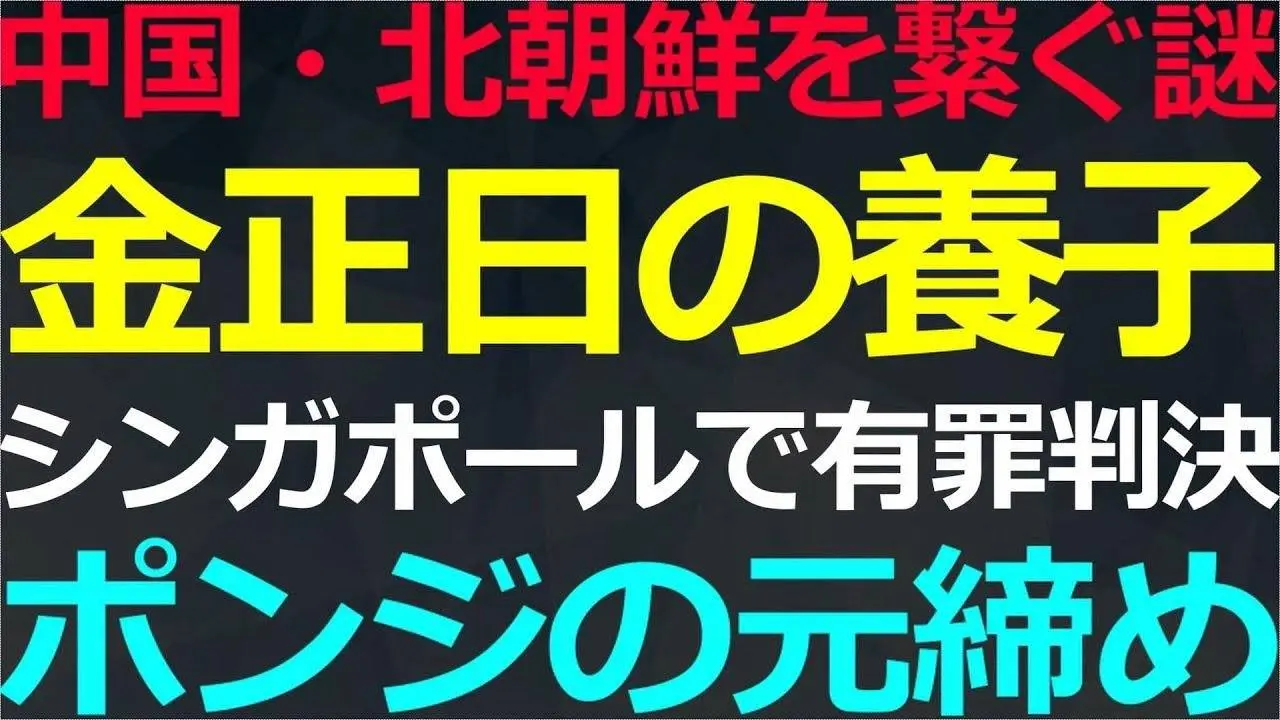 09-01 政治ミステリー！メディアに正日の養子と公言していた男がシンガで有罪判決