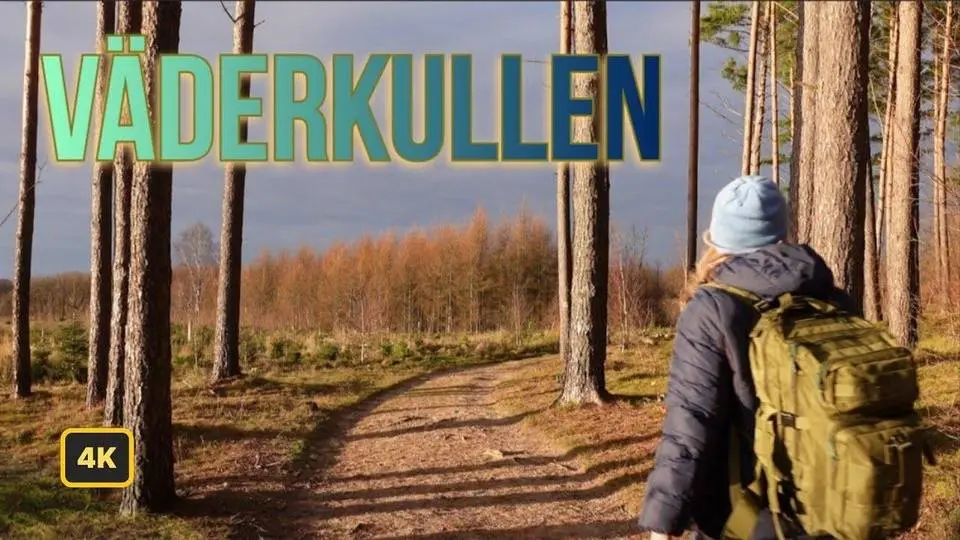 Hiking in Nature's Symphony GOLDEN GLOW | 4K | SWEDEN Luminous SKÅNELEDEN Väderkullen ep.42 #hike#4K