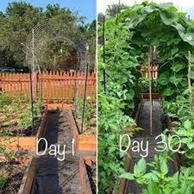 Garden Hacks