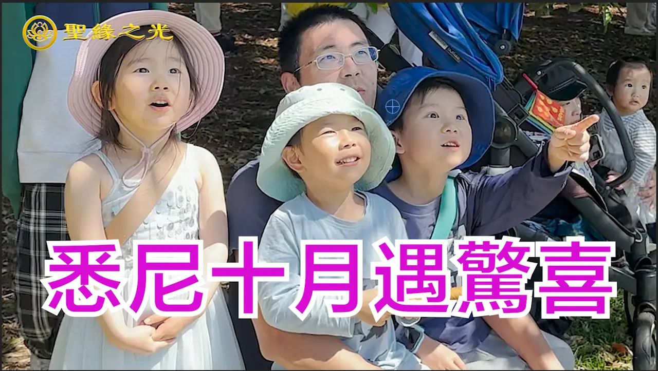 【聖緣之光】悉尼十月遇驚喜