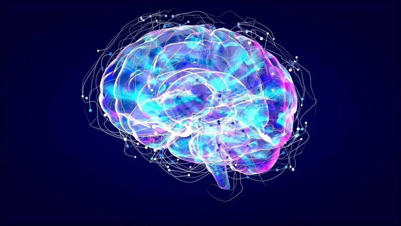 Supplements to Boost Brain Health and Function