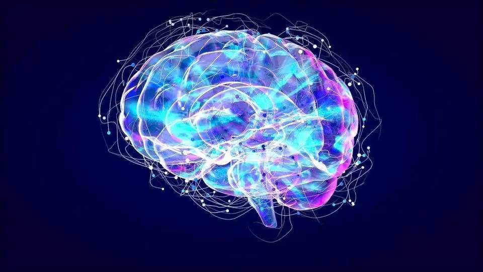 Supplements to Boost Brain Health and Function