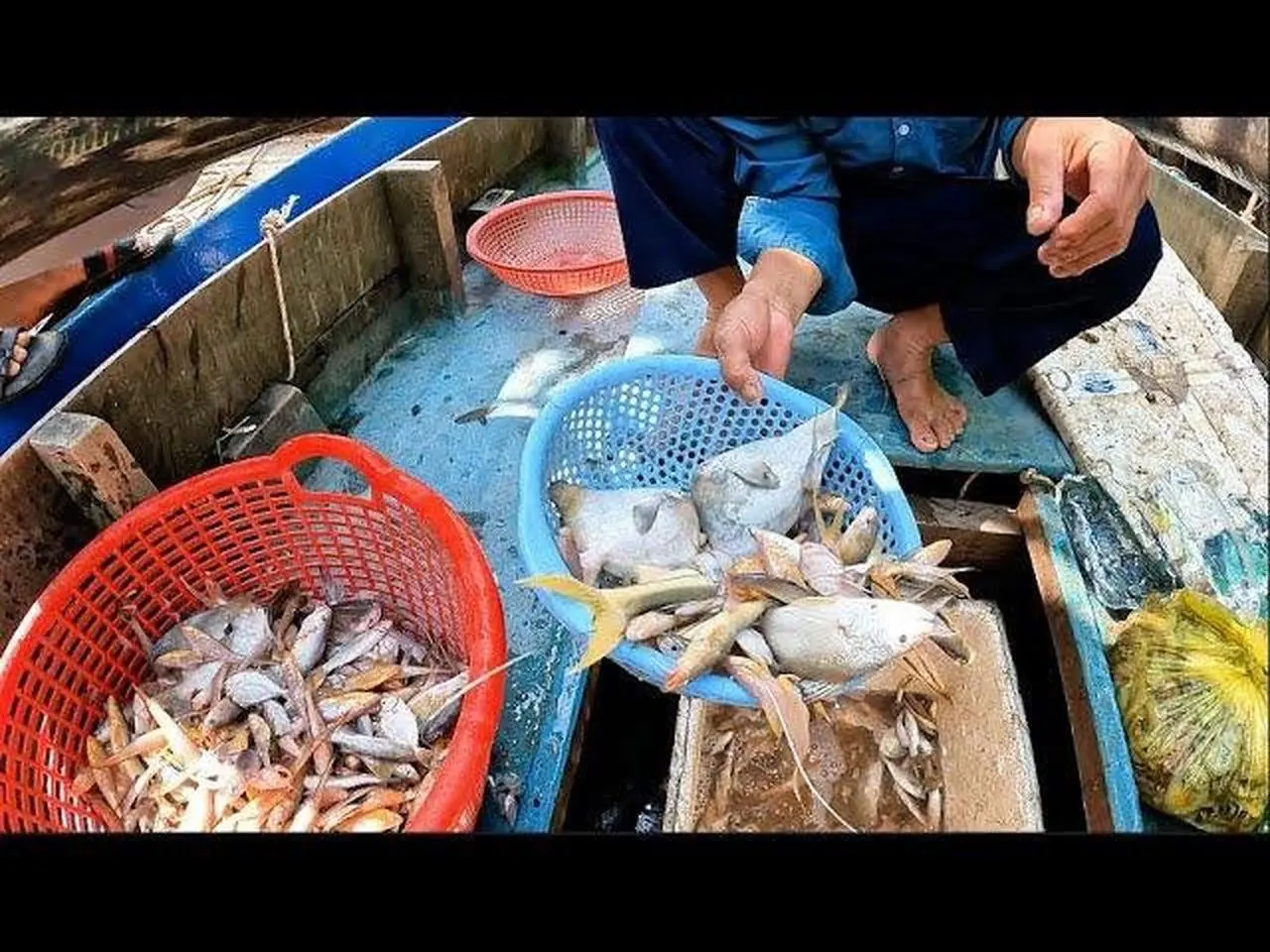 Ra Khơi Mùa Này Sóng Gió Quá Cá Tôm Lại Không Có Nhiều Đi Rồi Mới Biết Được Sự Vất Vả Của Nghề Biển