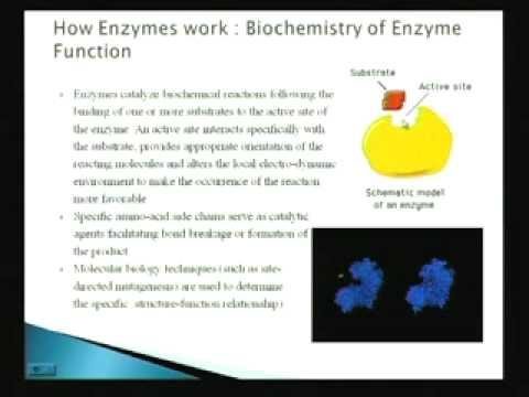 Mod-01 Lec-08 Biochemistry & Thermodynamics of Enzymes
