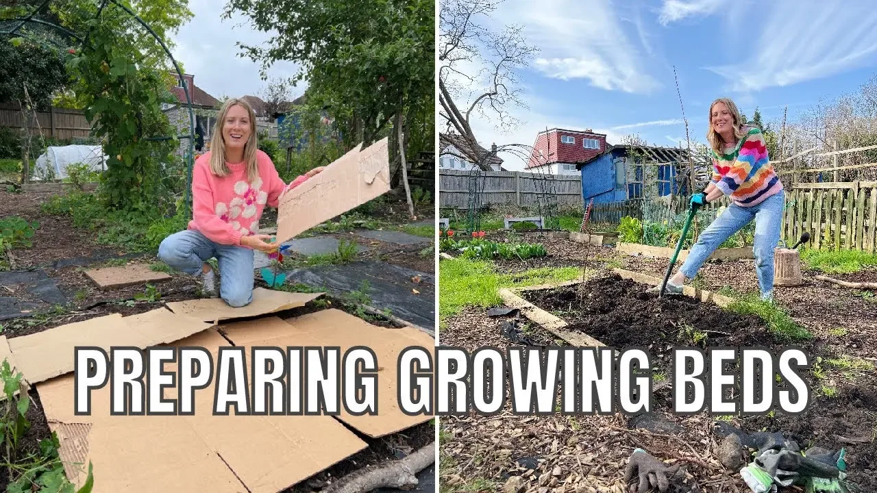 HOW TO PREPARE ALLOTMENT GROWING BEDS / ALLOTMENT GARDENING FOR VERY BEGINNERS