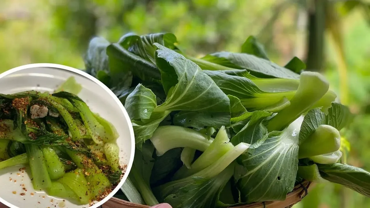 DWARF CABBAGE AND PORK COOK SHOW - DARY COOKING