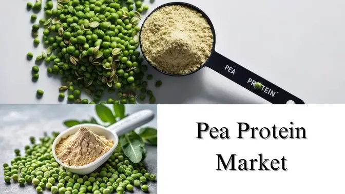 Pea Protein Market Share, Size, Trends, Growth Analysis to 2032