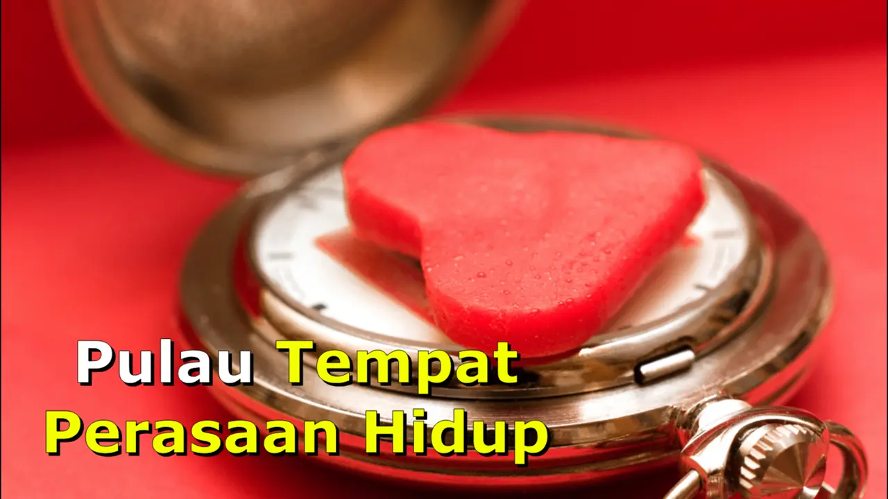 Pulau Tempat Perasaan Hidup