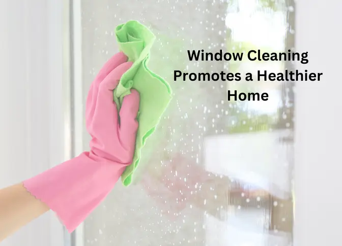 How Regular Window Cleaning Promotes a Healthier Home