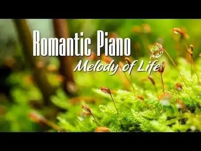 Top 20 Romantic Piano Love Songs - Relaxing Piano Music