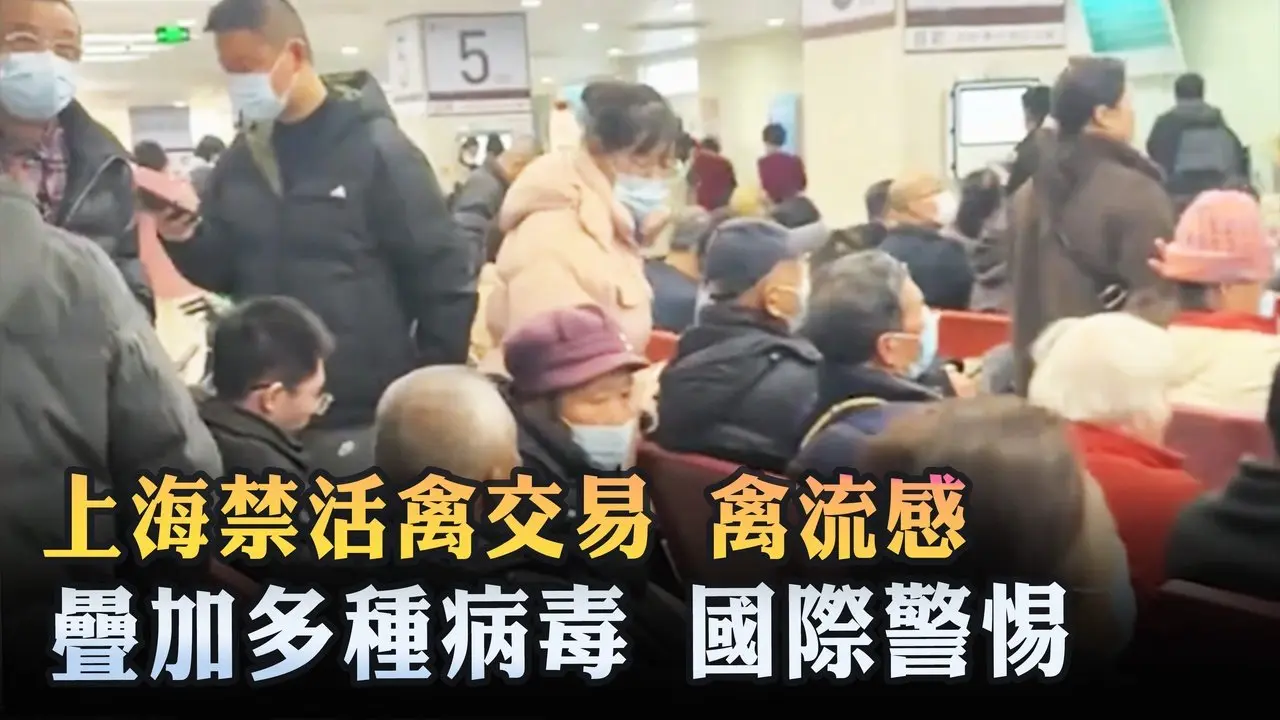 上海禁活禽交易 禽流感疊加多種病毒 國際警惕 ｜ #新唐人電視台