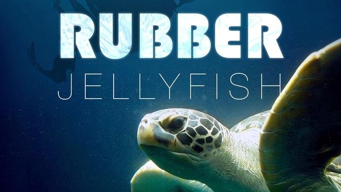 Rubber Jellyfish