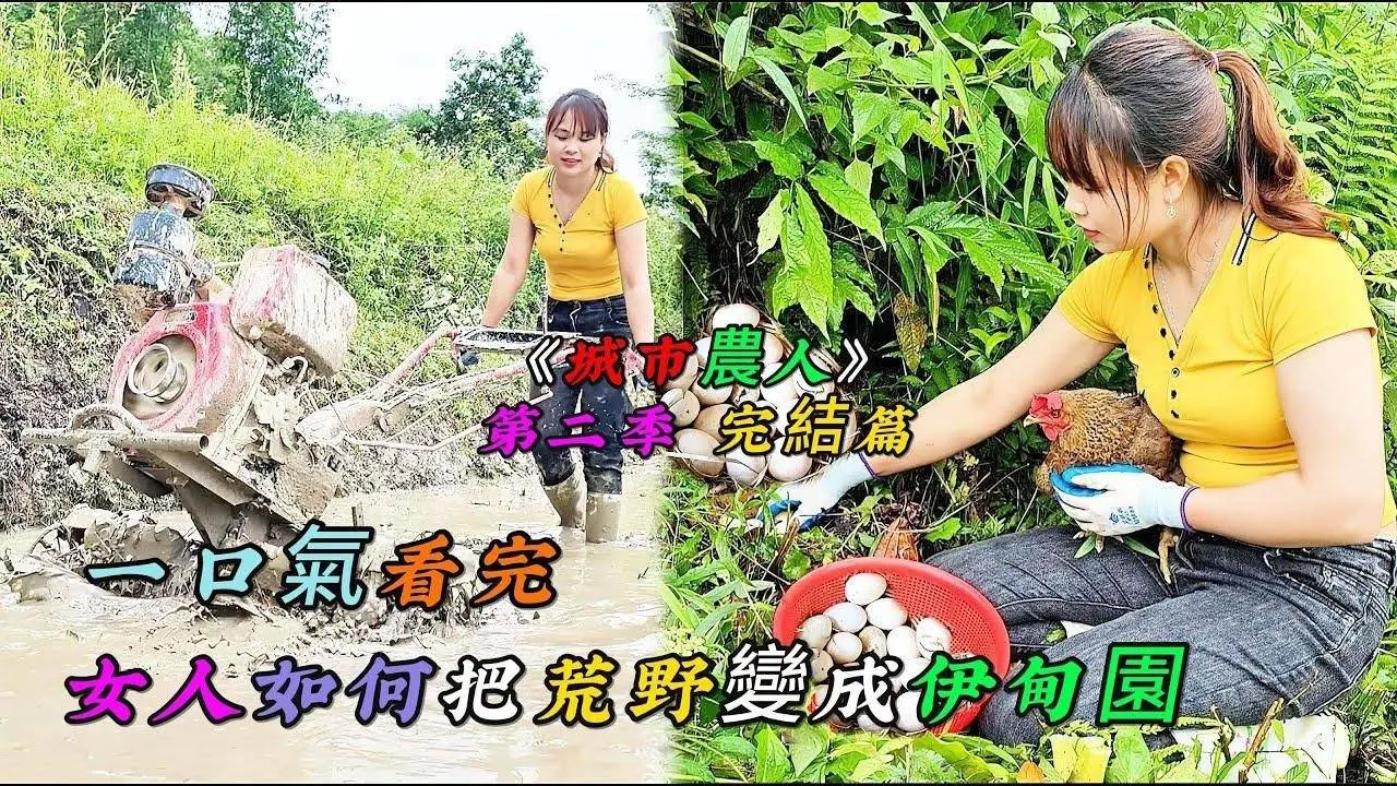 一口氣看完，女人如何把荒野變成伊甸園《城市農人》第二季 完結篇