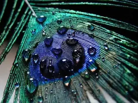 Antonio Vivaldi: Dresden concerto for violin, strings & b.c. in E flat major (RV 262)