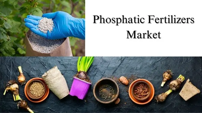 Phosphatic Fertilizers Market Size, Share, and Growth Forecast to 2032