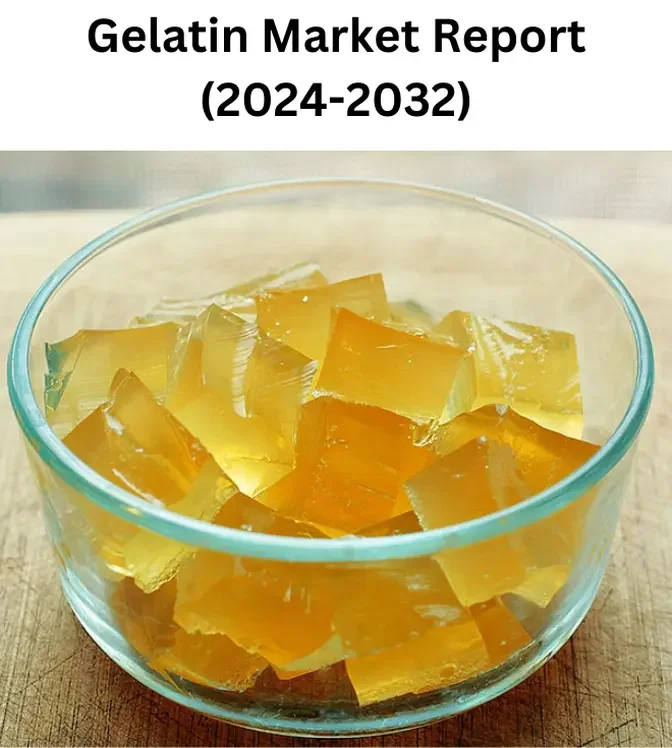 Gelatin Market Future Trends: Growth and Strategic Analysis 2032