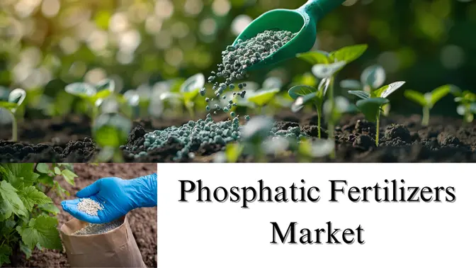 Phosphatic Fertilizers Market Size, Share, Growth and Forecast Through 2032