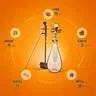 Northern Music