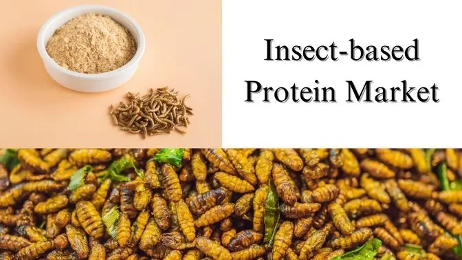 Insect-based Protein Market Share, Size, Growth and Forecast Through 2029