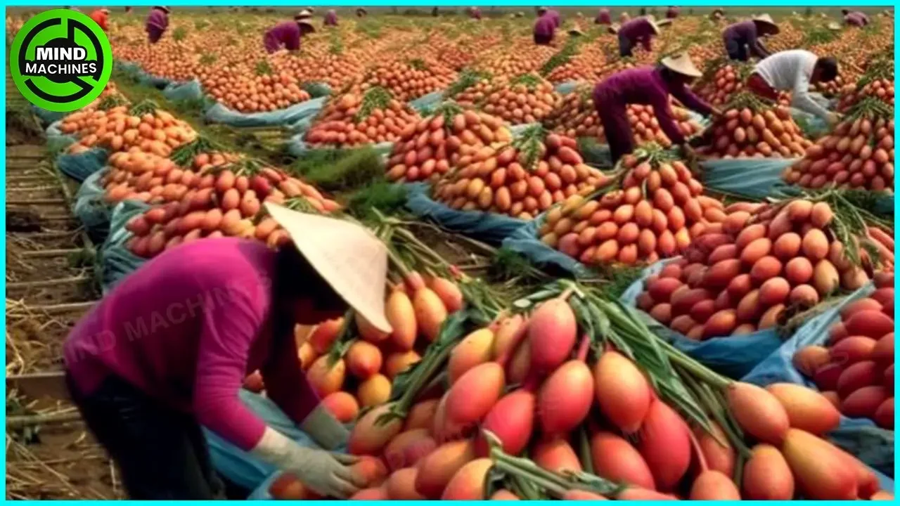 The Most Modern Agriculture Machines That Are At Another Level, How To Harvest Cactus In Farm ▶4