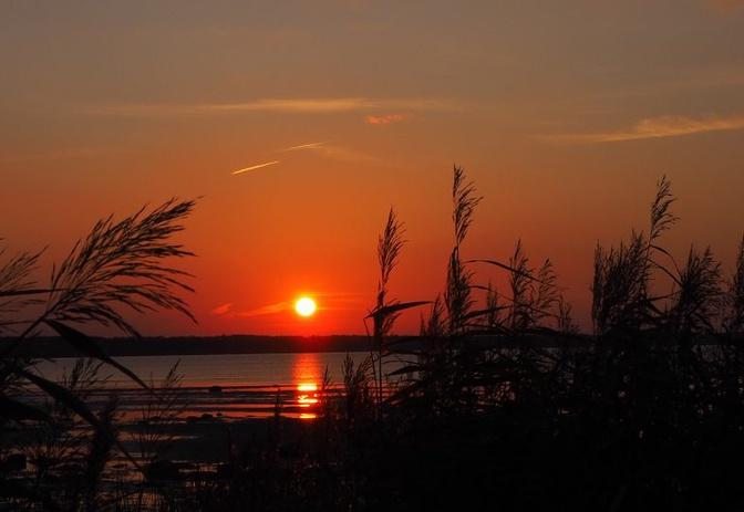 White House Launches Five-Year Plan to Research Methods of Reducing Sunlight to Fight Global Warming