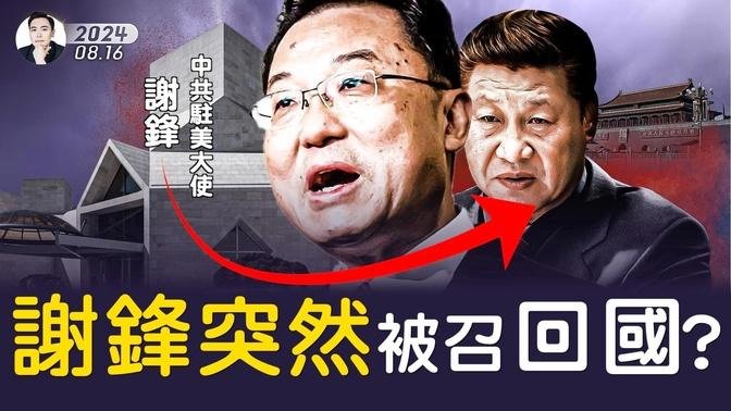 北戴河會議「內部運作」曝光！矢板：恰如黑幫決議過程！習近平權力確受挑戰，黨媒“含習量”降低如同毛當年遭遇；中共駐美大使謝鋒剛吹捧完“熊貓外交”，就突然回國？上海企業家指高層動向不尋常｜大宇拍案驚奇