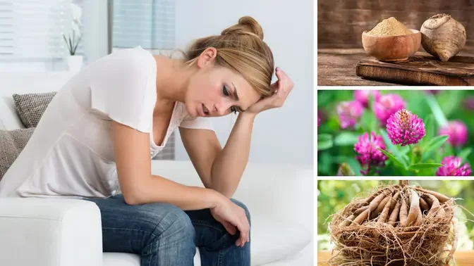 Top 8 Best Herbs for Female Hormone Balance