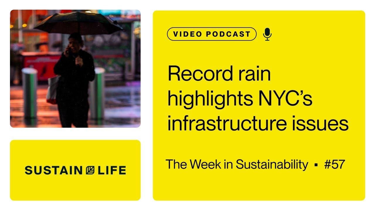 Record rain highlights NYC’s infrastructure issues // The Week in Sustainability
