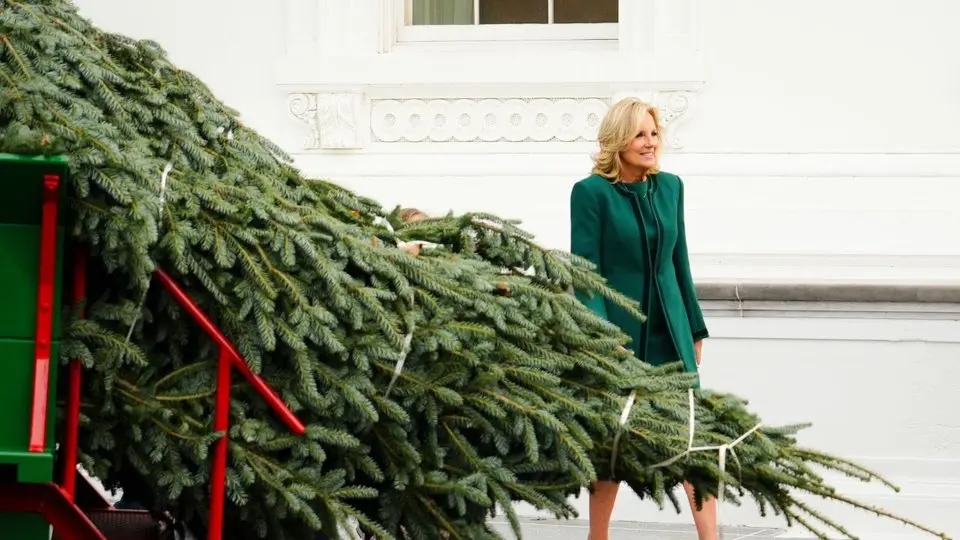 LIVE: First Lady Jill Biden Receives 2024 Christmas Tree at the White House