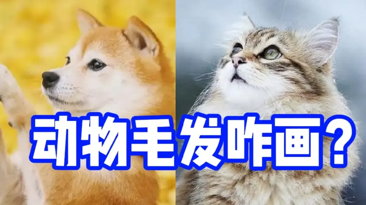 水彩貓貓狗狗畫不像？注意這四點 零基礎水彩入門教程