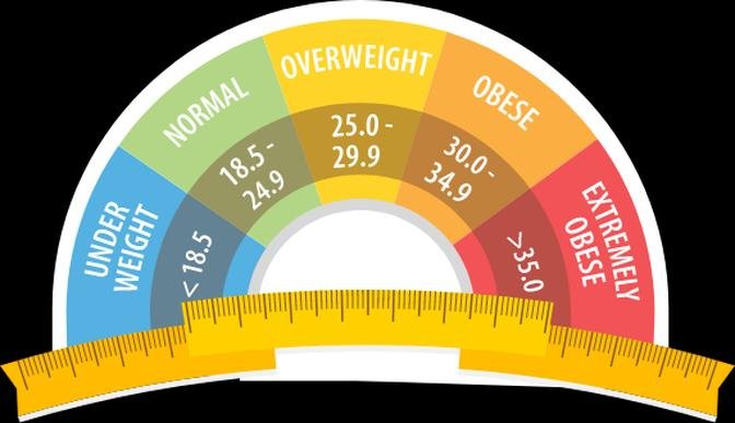 BMI Calculator