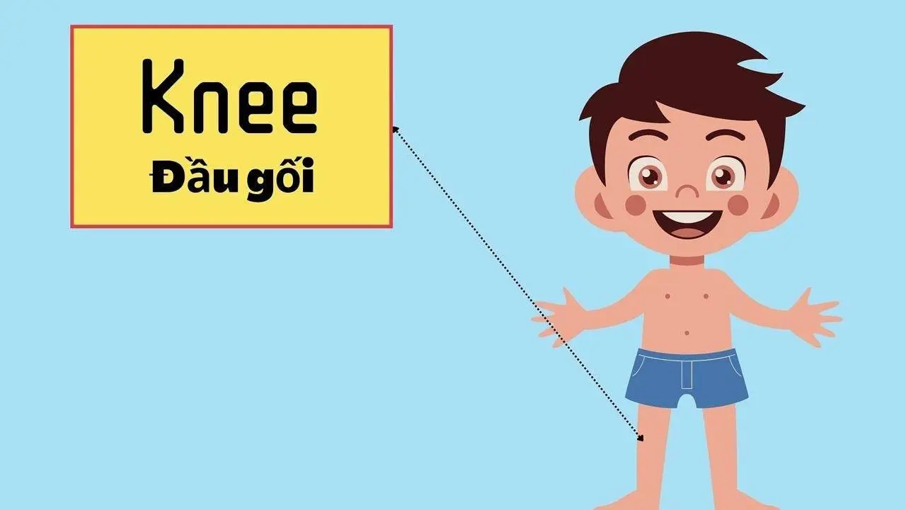Từ vựng tiếng anh song ngữ cho bé | My body #tuvungtienganh #tienganhchobe #english #clothes