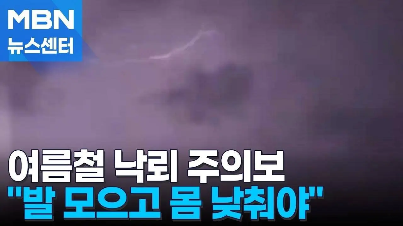 낙뢰 피해 늘어나는 여름철…1cm라도 더 낮춰야 산다 [MBN 뉴스센터]