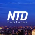 NTD Features